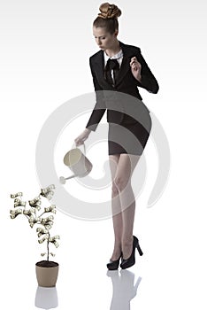 Business woman watering dollar money plant