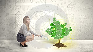 Business woman watering a growing green dollar sign tree