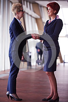 Business womans make deal and handshake