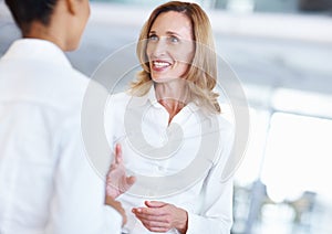 Business women conversing with each other. Portrait of mature business woman conversing with female executive at office.
