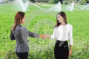 Business women shaking hands in a green field with agriculture irrigation system