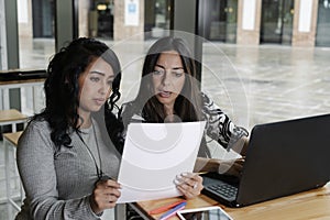 Business women working with their laptops in an office