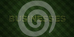 BUSINESSES - fresh Grass letters with flowers and dandelions - 3D rendered royalty free stock image