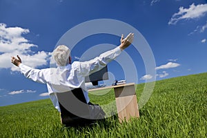 Businessman Arms Raised At Desk In Green Field