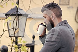 Businessman bearded guy drink coffee outdoors. Hipster hold paper coffee cup and enjoy park environment. Relaxing coffee