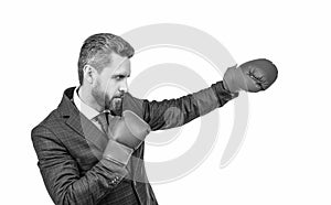 businessman boxer punching in corporate business battle isolated on white, business success.