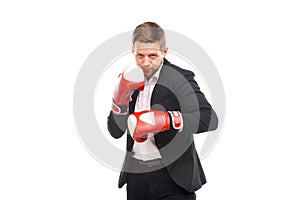 Businessman in boxing gloves