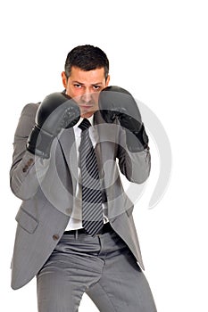 Businessman with boxing gloves