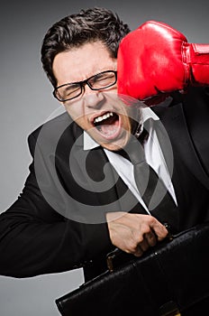 Businessman with boxing gloves