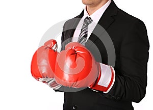 Businessman with boxing gloves isolated