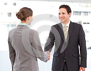 Businessman and businesswoman concluding a deal