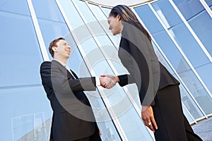 Businessman And Businesswomen Shaking Hands