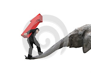 Businessman carrying arrow up balancing on elephant trunk