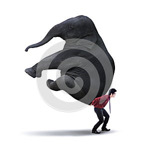 Businessman carrying heavy elephant