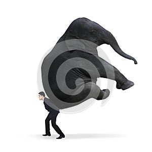 Businessman carrying heavy elephant