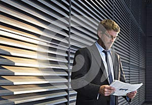 Businessman Caucasian Male Professional Concept