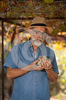 Businessman checking his grapes, farmer checking his products