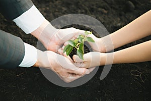 Businessman and child grow and nurture plant on fertilized soil concept. Gyre