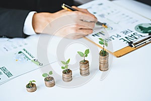 Businessman with coin stack at his office as sustainable money growth. Gyre
