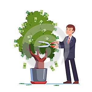Businessman cutting money off investment tree