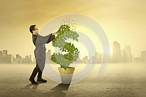 Businessman cutting money tree