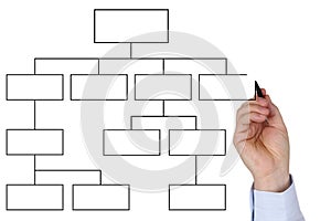Businessman drawing empty diagram for business, organization and