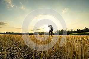 Businessman at the Field Looking Into the Distance