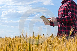 Businessman is on a field of ripe wheat and is holding a Tablet computer.