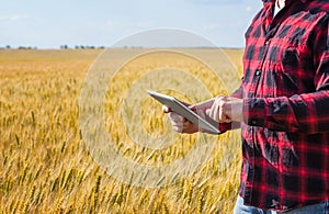 Businessman is on a field of ripe wheat and is holding a Tablet computer.