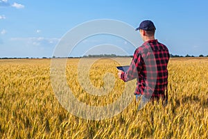 Businessman is on a field of ripe wheat and is holding a Tablet computer.