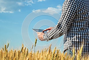 Businessman is on a field of ripe wheat and is holding a Tablet computer.