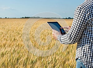 Businessman is on a field of ripe wheat and is holding a Tablet computer.