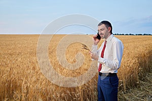 businessman in the field talking on the phone holding wheat ears in his hand