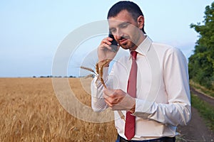 businessman in the field talking on the phone holding wheat ears in his hand