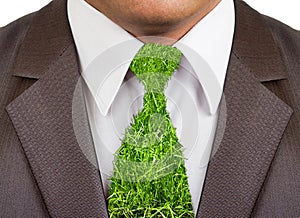 Businessman formal suit with grass tie