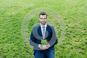 Businessman in formal wear sitting in office chair in park, looking at camera while holding flowerpot with plant