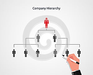 Businessman hand drawing of company or organization hierarchy vector illustration