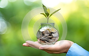 Businessman hand holding coin money cover growing plant. Plant growing out of coins with filter effect, money growing and small