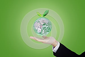 Businessman hand holding globe with leaves, on green background. Element of this image are furnished by NASA