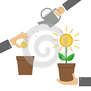 Businessman hand holding money tree, watering can, seed Coin dollar sign Plant in the pot. Three step infographic. Financial