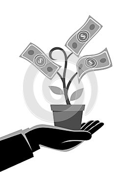 Businessman hand holding a pot with money tree