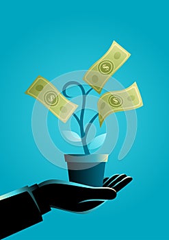 Businessman hand holding a pot with money tree