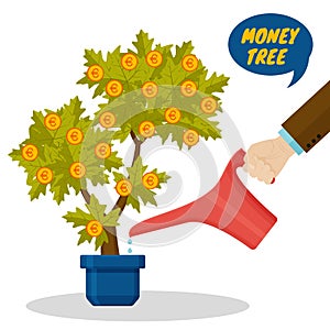 Businessman hand watering money tree with euro. Decorative plant in flower pot