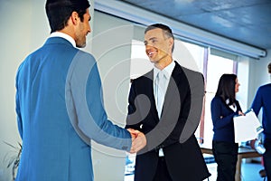 Businessman handshaking in conference hall