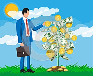 Businessman harvests from money coin tree.