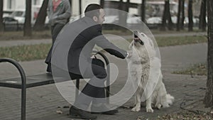 Businessman and his dog shakeing hands playing in