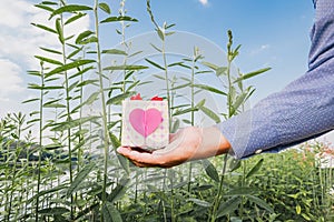 Businessman holding gift box with sky and clouds background. Valentine day concept