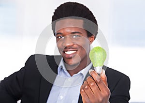 Businessman holding light bulb with green grass