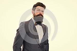 Businessman or host fashionable outfit isolated white. Fashion concept. Classy style. Man bearded hipster wear classic