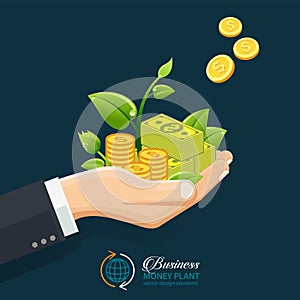 Businessman investment concept. Hand giving money, coins with sprout.